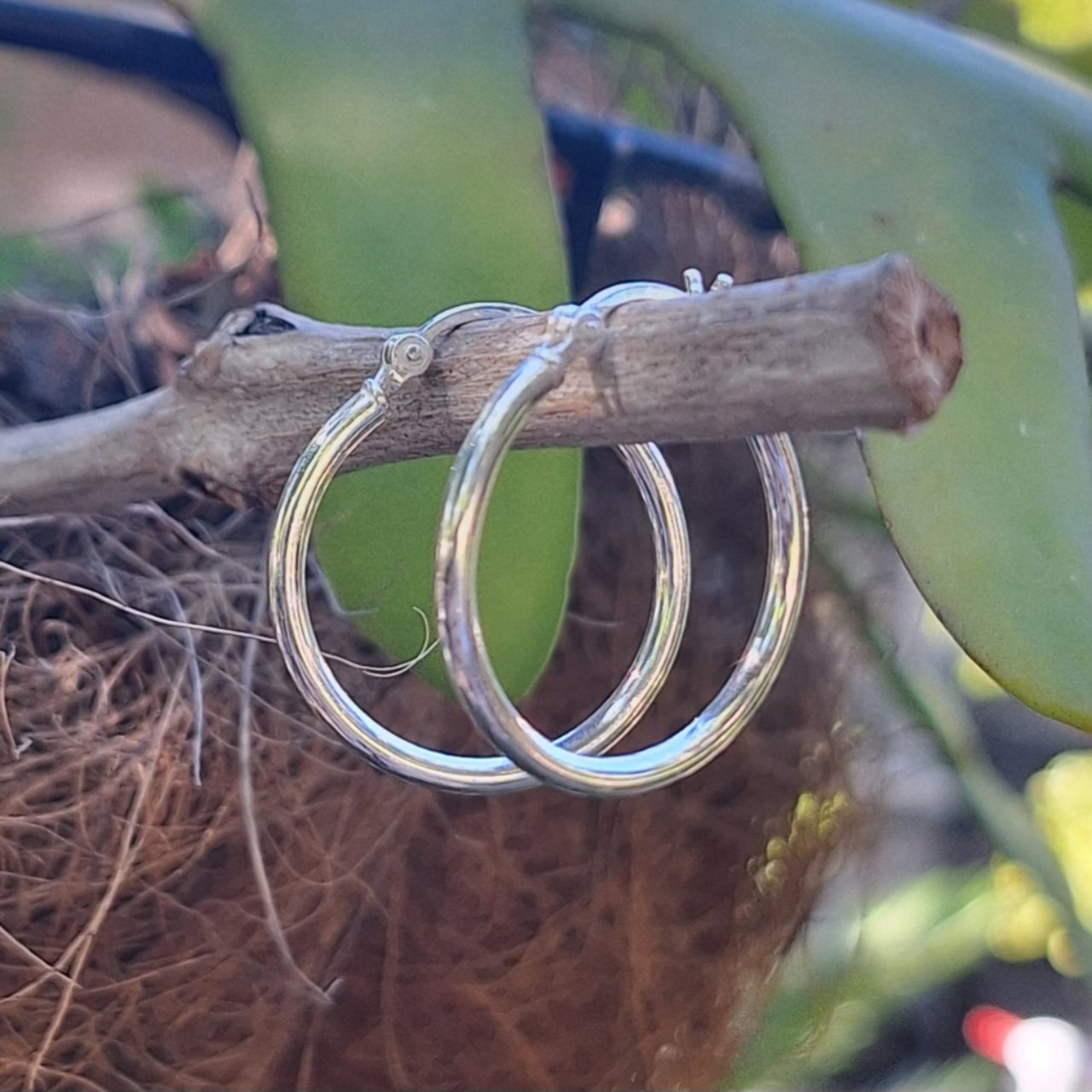 Hoop Earrings - 24mm (latch back)