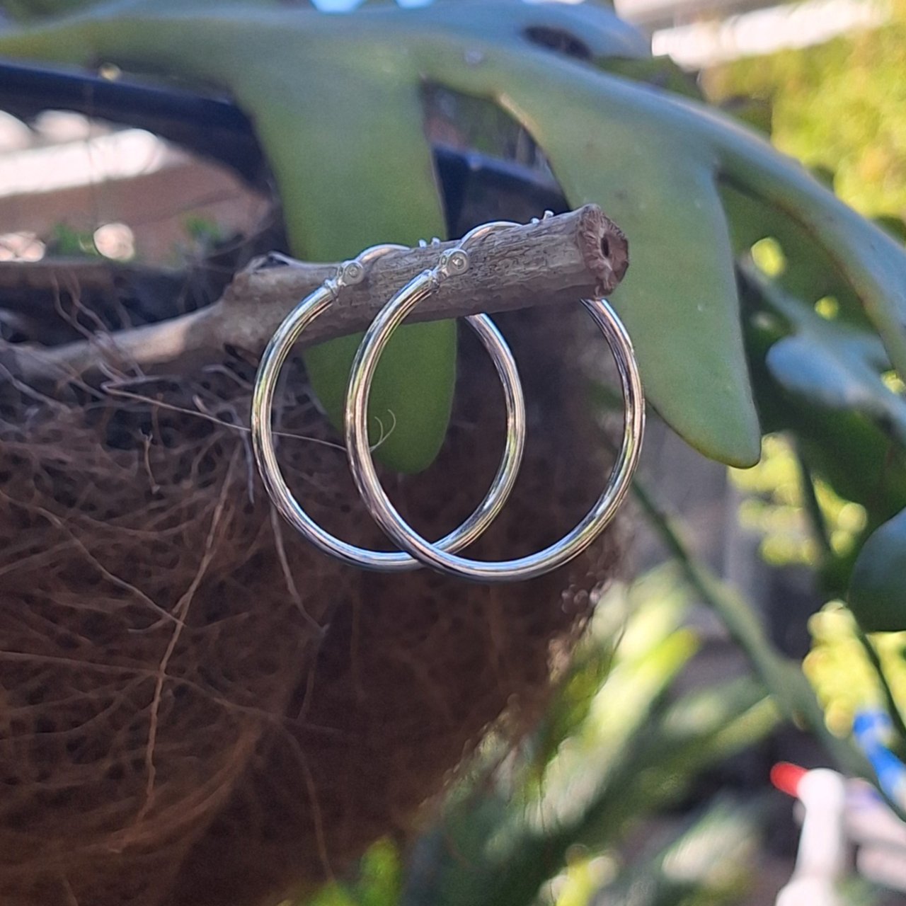 Hoop Earrings - 30mm (latch back)