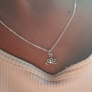 lotus flower set