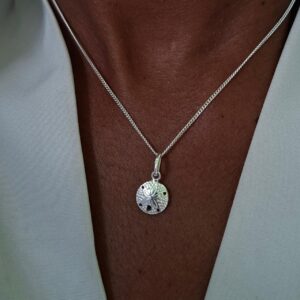 sand dollar set