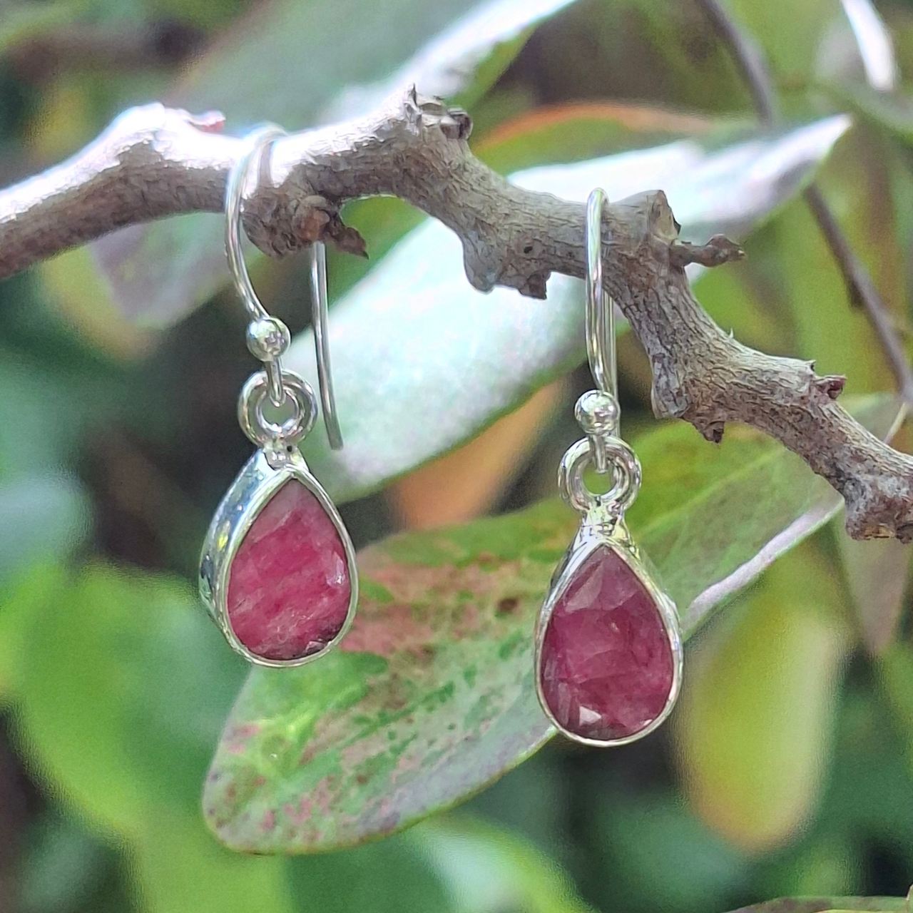 Rubellite Teardrop Earrings