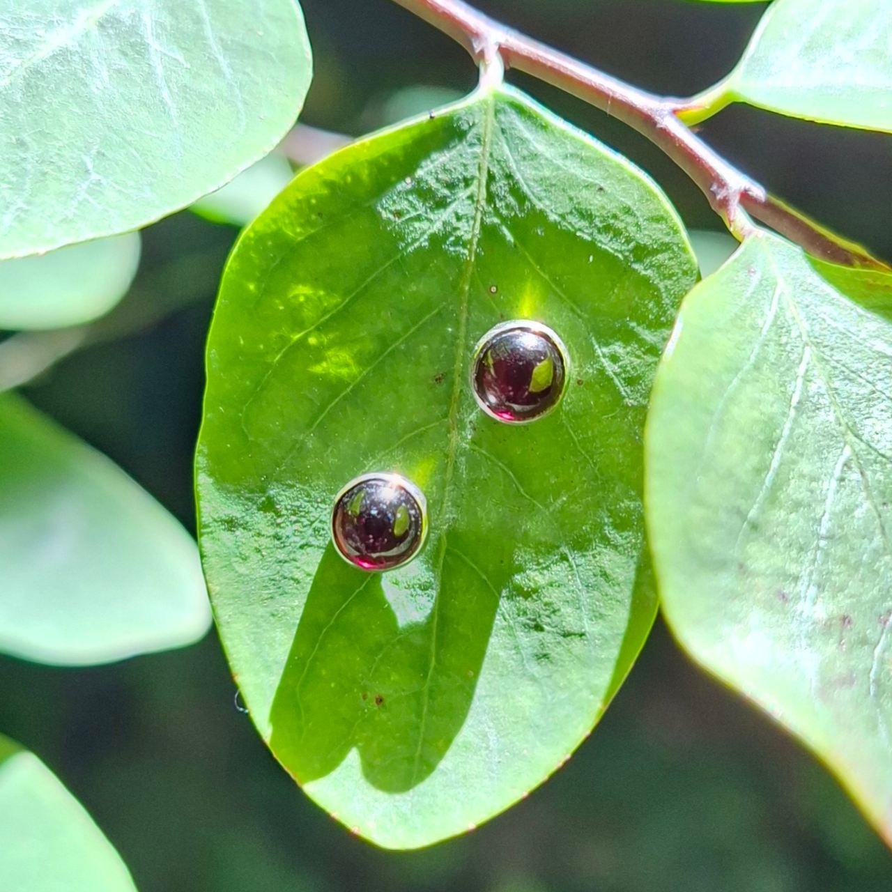 Garnet Studs Small