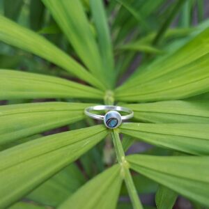 dainty paua shell ring