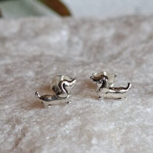 Dachshund Studs