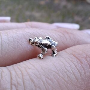 Fat Frog Studs